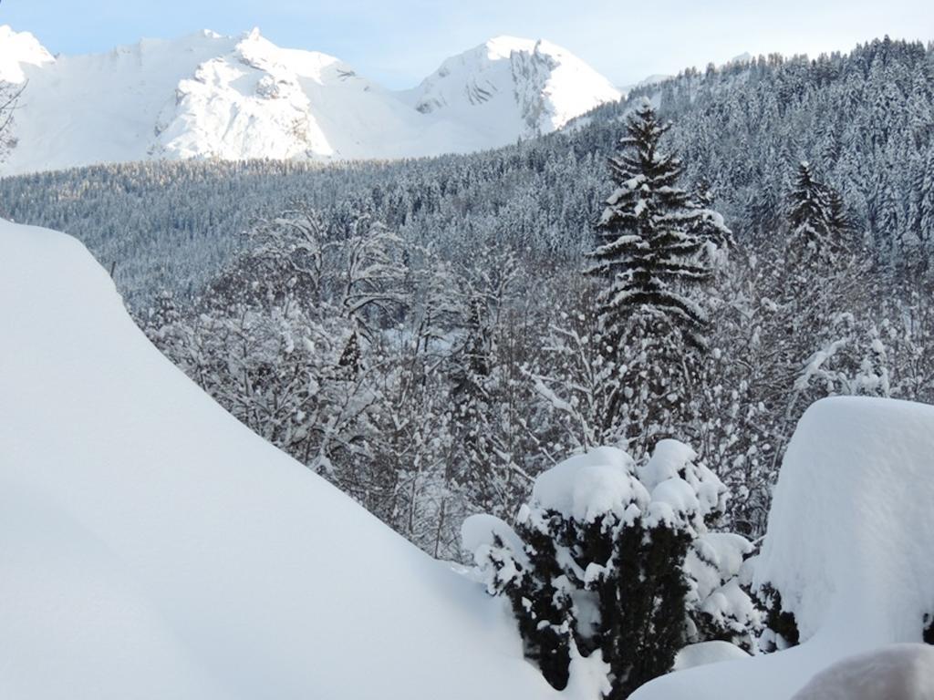 La Duche 101 Apartman Le Grand-Bornand Szoba fotó